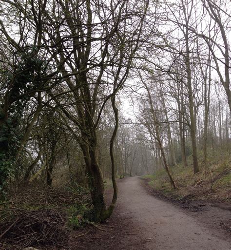 Guisborough Forest, North Yorkshire. North Yorkshire, Country Roads, Favorite Places, England ...