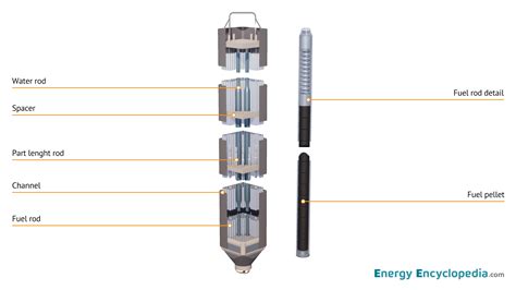 NPP BWR fuel assembly, schematic diagram - Images - Free Downloads ...