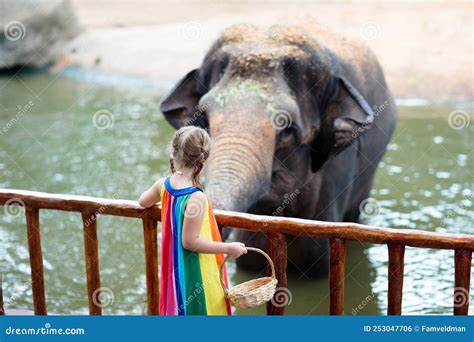 Kids Feed Elephant in Zoo. Family at Animal Park Stock Photo - Image of family, nature: 253047706