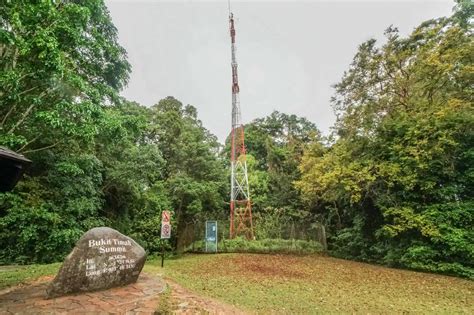 Bukit Timah Nature Reserve – Ein Naturreservat in Singapur