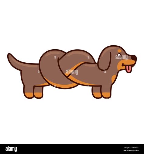 Cute cartoon dachshund with body tied in knot, funny long wiener dog doodle. Isolated vector ...