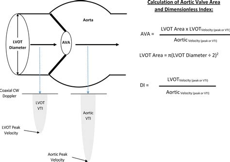 Heartbeat: Time to switch from aortic valve area to aortic valve index? | Heart