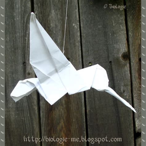 biologie.: Origami Hummingbird Tutorial