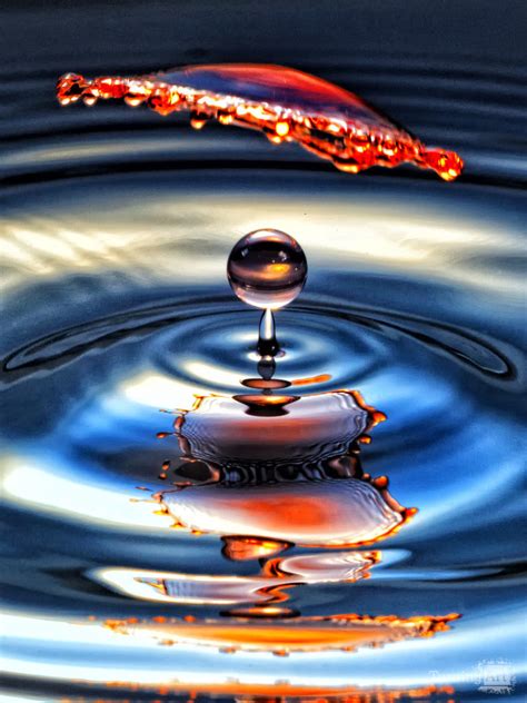 Water Drop Art 2 by Mark Hilliard - TurningArt