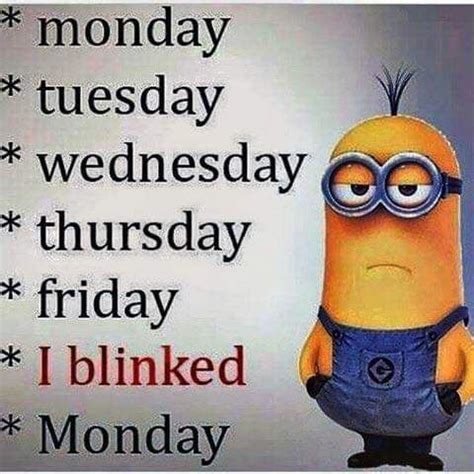 Funny Monday Memes