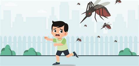 Dengue: Treatment, Causes, Diagnosis, Treatment | Happiest Health