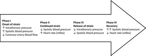 Examples Of Valsalva Maneuver