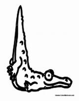 Alligator Alphabet Coloring Pages sketch template
