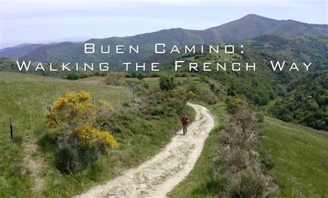 Buen Camino: Walking the French Way Documentary - Flagler Films