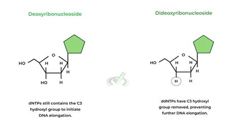 Biotechnology: DNA Sequencing on the MCAT – MCAT Mastery