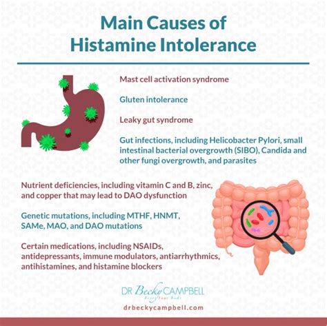 Understanding Histamine Intolerance - Dr Becky Campbell