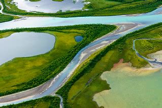 Rapa delta | Details of the rapa valey delta in laponia, swe… | Rasmus Thornberg | Flickr
