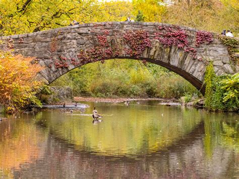 Gapstow Bridge | Central Park Conservancy