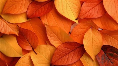 Premium AI Image | A close up of autumn leaves