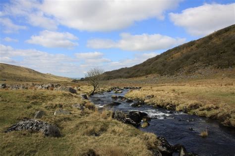 Best Dartmoor Wildlife, Dartmoor, Dartmoor National Park