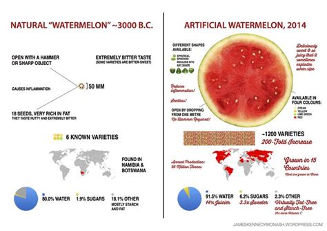 Here's what 9,000 years of breeding has done to corn, peaches, and ...