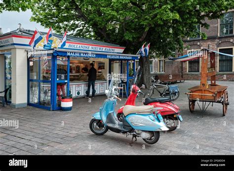 Hollandse Nieuwe soused herring stall in the street of the Hague, the ...