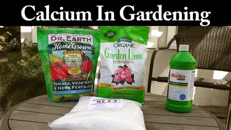 7 Photos Calcium Carbonate Uses In Garden And Review - Alqu Blog