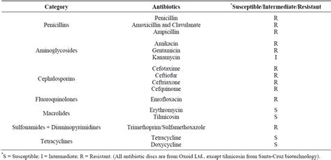 Penicillin-Resistant Aerococcus viridans Bacteremia Associated with Bovine Severe Respiratory ...