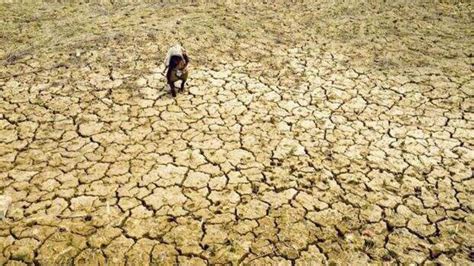 Assam, West Bengal among 8 states highly vulnerable to climate change: Report