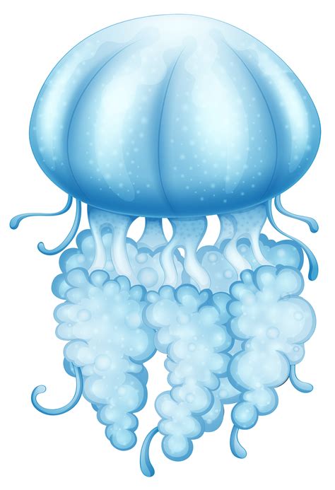 A blue jellyfish 525571 Vector Art at Vecteezy