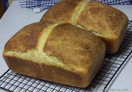 Old-Fashioned Salt Rising Bread - Bread Experience