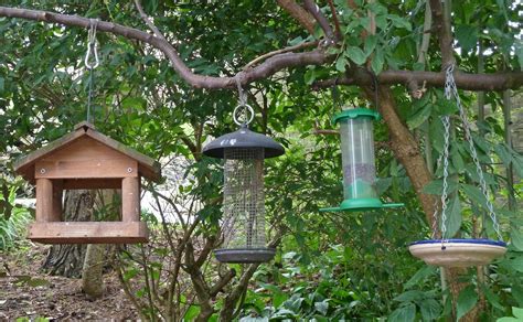 12 Different Types of Bird Feeders