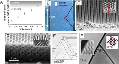 Porous & Cellular Materials — HATTON LAB