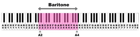 How to Find Your Vocal Range in a Few Easy Steps