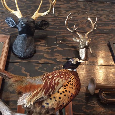 Vintage pheasant taxidermy mount | Taxidermy mounts, Taxidermy, Antiques