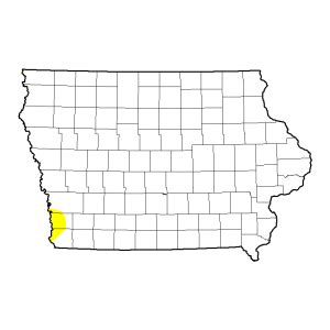 Report: 96 of Iowa’s 99 counties are now drought-free « KJAN | Radio Atlantic, IA – AM 1220