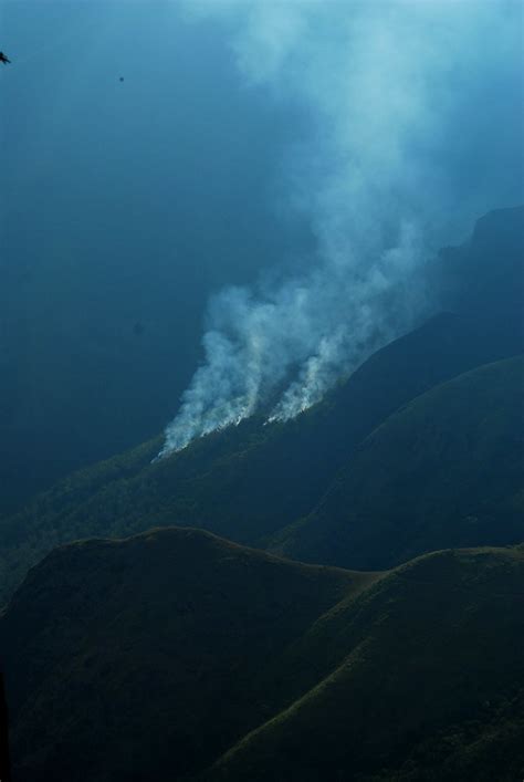 Prevent forest fire - Save Earth | Kamaljith K V | Flickr