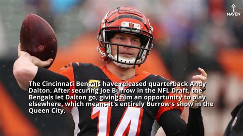 Cincinnati Bengals Release Andy Dalton - Sports Illustrated Cleveland Browns News, Analysis and More