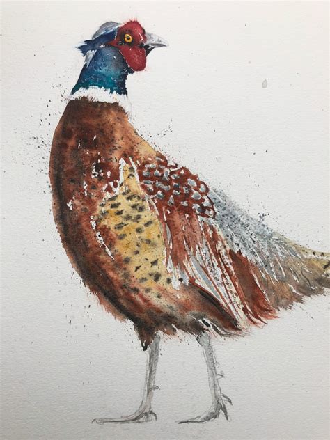 Pheasant Painting - Original Pheasant Watercolour Painting Pheasant X ...