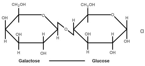 What Is Lactose Intolerance? What Are Its Causes, Symptoms And Signs?