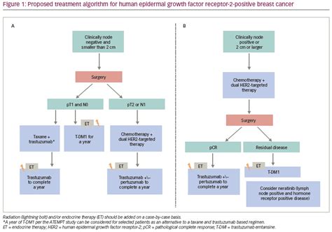 Tailoring the Treatment of Early-stage HER2-positive Breast Cancer: One Size Does Not Fit All ...