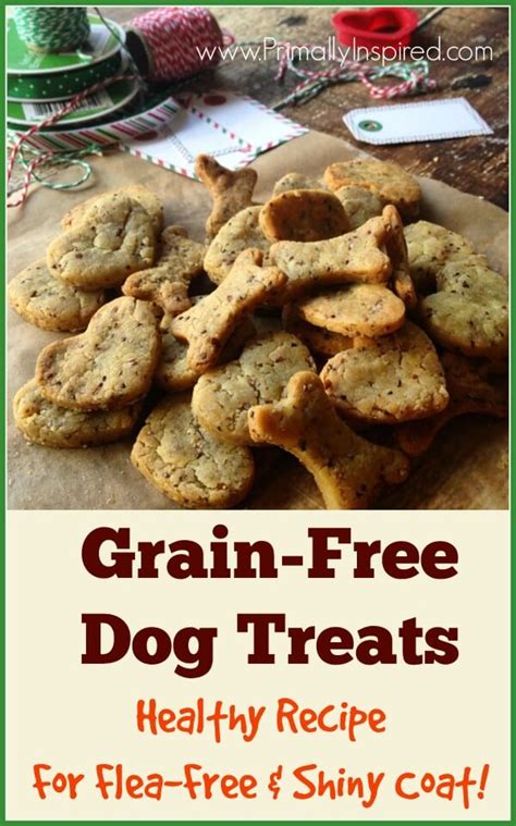 Healthy Grain Free Dog Treats | German Shorthaired Pointers-Greatdog-GSP