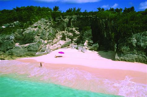 Why Are There Pink Sand Beaches In Bermuda?