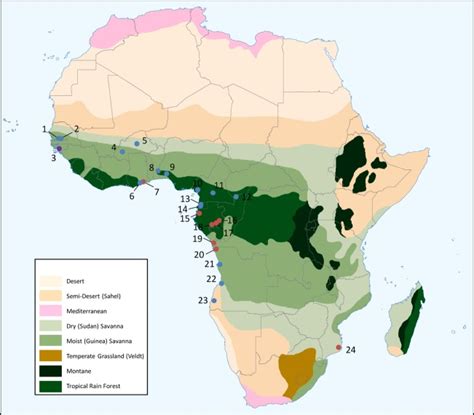 Map of Africa biomes (adapted from UNEP 2010) showing the location of ...