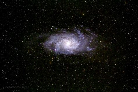 The Triangulum Galaxy (M33) - T.V. Higgins Photography Unbounded