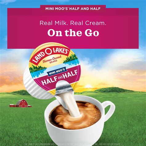 Land O Lakes Mini Moo’s Half And Half Creamer Singles, 24 Count - Walmart.com