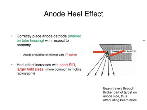 PPT - Mobile Radiography (Portables) PowerPoint Presentation, free download - ID:6897127