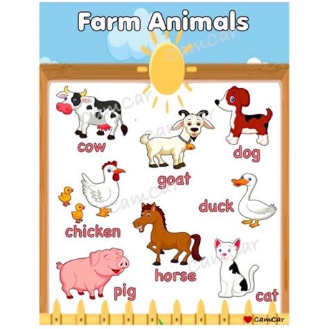 Farm, Water, and Air Animals Laminated Educational Wall Chart | Shopee ...