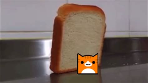 Bread falls onto Cat - YouTube