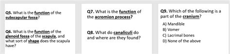 Solved Q5. What is the function of the subscapular fossa? | Chegg.com