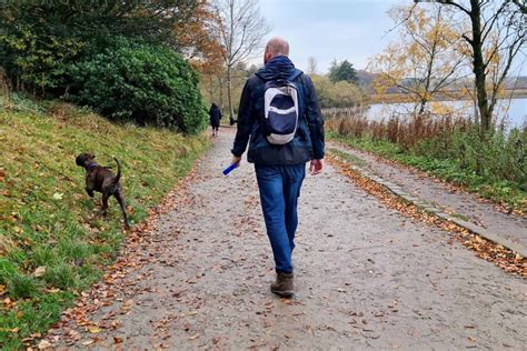 Hollingworth Lake - Walks with Kids - We're going on an adventure