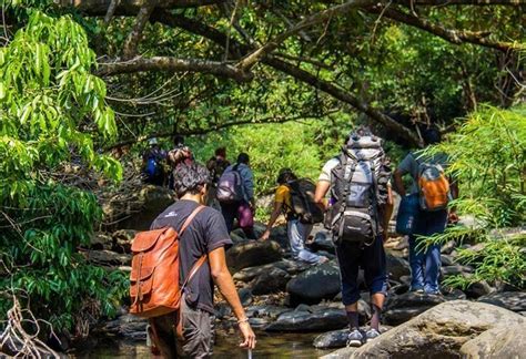 Trek to Dudhsagar Falls - Dudhsagar Falls Tour