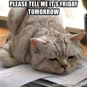 Tired Cat - Please tell me it's friday tomorrow | Cats, Cute cats, Cat love