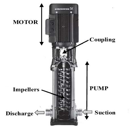 Vertical Centrifugal Pump Diagram