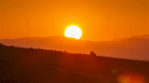 Beautiful sunrise over vineyard hills. Panoramic Shot Stock Video ...